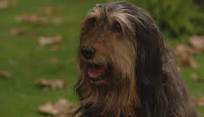 Våra värsta år (S9 E18)