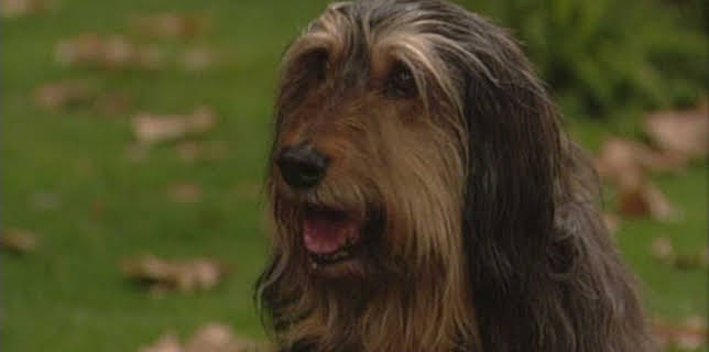 06:00: Våra värsta år (S9 E18) (S9) | TV6 | 12/26 2025