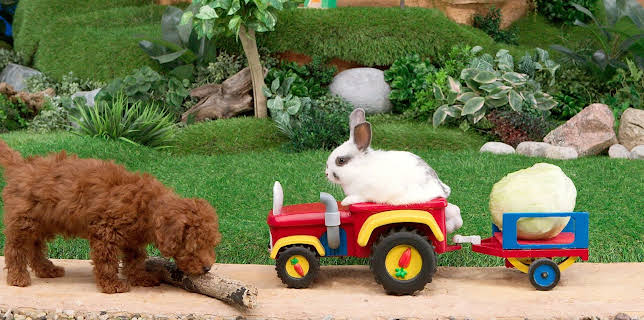 17:15: Rosin og Bolle: Salat | NRK Super | 11/11 2025