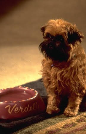 Jill the Dog as Verdell