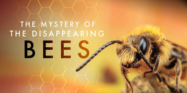 The Strange Disappearance of the Bees (1984)