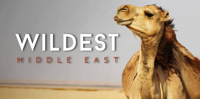 Wildest Middle East