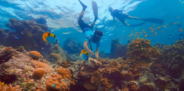 21:00: Unsere Erde im Wandel | ARD Alpha | 3/11 2026