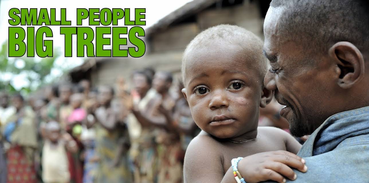 Small People, Big Trees (2016)