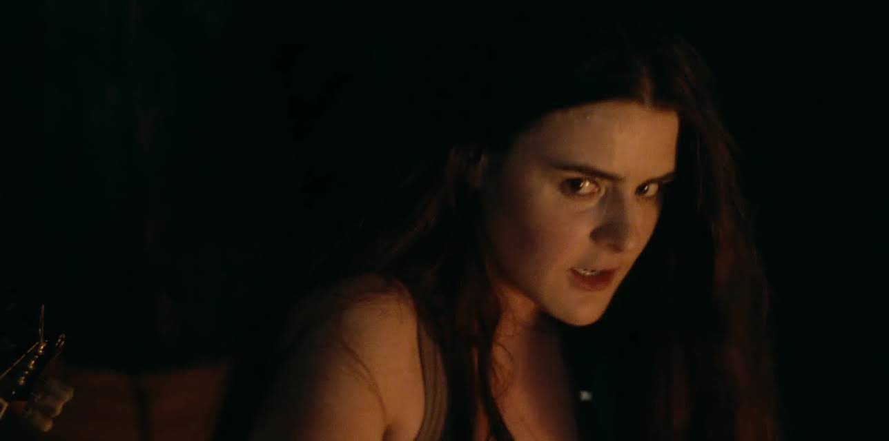 Barracuda (2017)
