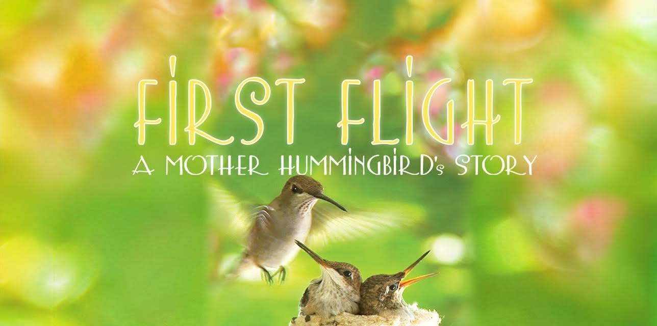 First Flight: A Mother Hummingbird's Story (2009)