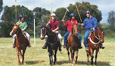 McLeods døtre (S1 E22)