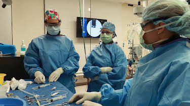 01:00: Life at Vet University (S1 E2) (S1) | Animal Planet | 11/8 2025