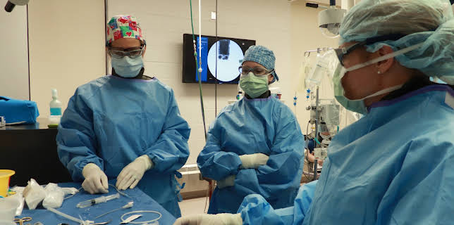 00:00: Life at Vet University (S1 E2) (S1) | Animal Planet | 11/8 2025