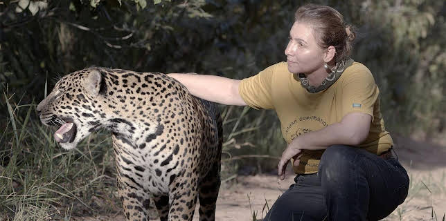 10:41: Eine wilde Familie | Arte | 11/20 2025