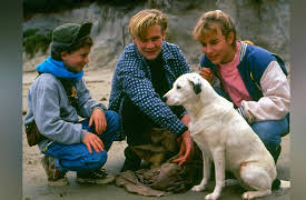 Round The Twist: Without My Pants