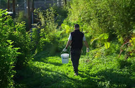 Wild Heroes: Episode 5