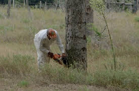 BBQ With Franklin Season 1: Fire & Smoke