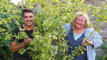 3:45 PM: Garden Rescue (S11) | BBC One | 9/16 2026