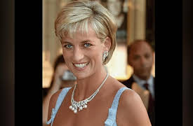 Princess Di Mystery: Mystery Solved