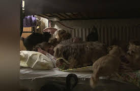 Confessions: Animal Hoarding Season 1: Janice and JD