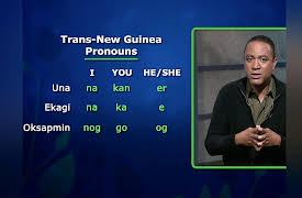 Language Families of the World: Why Are There So Many Languages in New Guinea?