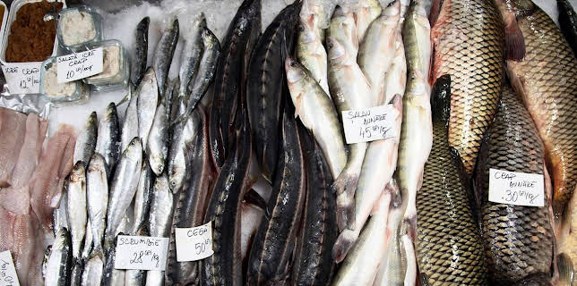 17:05: Im Bauch von Bukarest | Arte | 11/13 2025