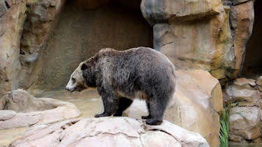 3:00 PM: The Zoo: San Diego (S2) | Discovery Channel | 9/24 2026