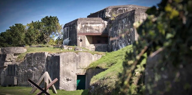 11:00 AM: Secret Nazi Bases (S4 E5) (S4) | Yesterday | 2/17 2026