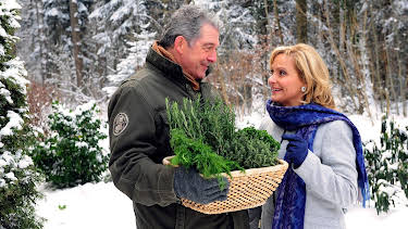 06:25: Sturm der Liebe (1505) | MDR Fernsehen | 4/30 2026