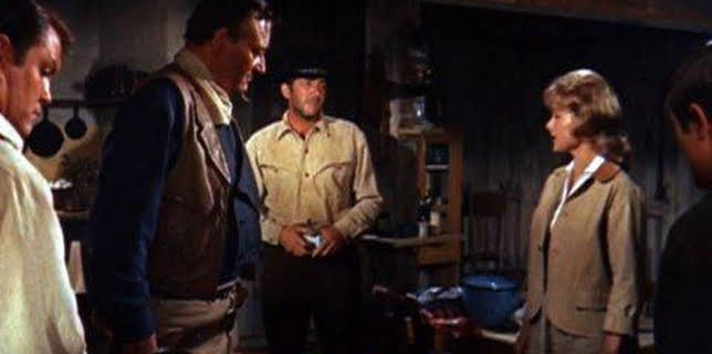 The Sons of Katie Elder (1965)