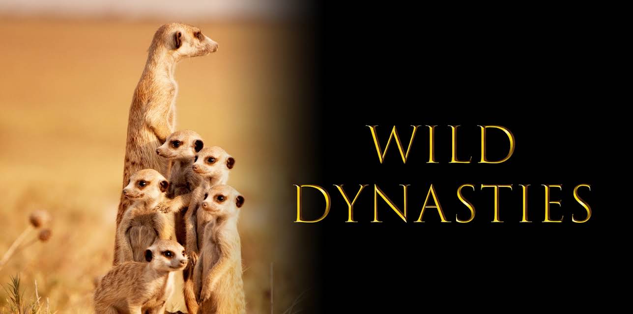 Wild Dynasties