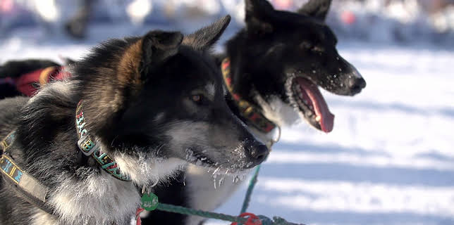 10:24: Alaska Mega Machines (S1 E6) (S1) | Discovery Science | 11/18 2025