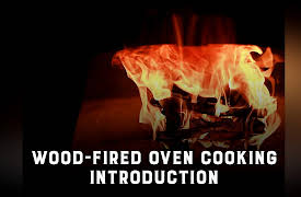 Wood-Fired Oven Cooking with Manna From Devon: Wood-Fired Oven Cooking: Introduction