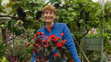 7:30 PM: Beechgrove Garden | BBC Two | 9/25 2026