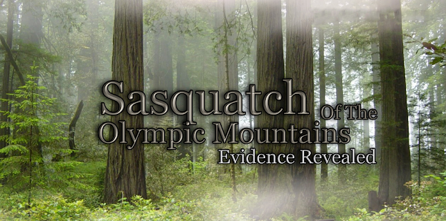 Sasquatch of the Olympic Mountains: Evidence Revealed (2018)