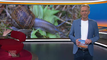 09:00: Landesschau Baden-Württemberg | SWR Fernsehen BW | 8/19 2026