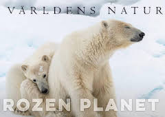 Världens natur: Frozen planet