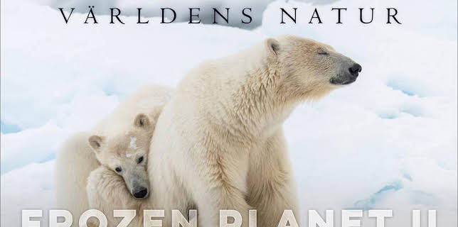 20:10: Världens natur: Frozen planet | Kunskapskanalen | 12/15 2025