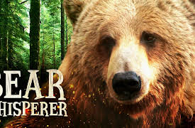 Bear Whisperer: Mammoth Lakes