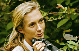 Icons: The Greatest Person of the 20th Century: Explorers