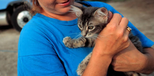 03:00: Animal Cops Miami (S16 E9) (S16) | Animal Planet | 12/3 2025