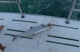 Gone Fishin S4: Broome...Western Australia (contd) Part 2
