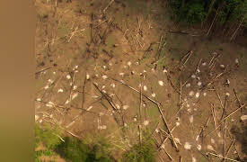 Angry Planet: Lessons from Laos