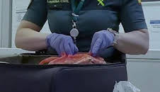 Control de fronteras: España: Episodio 3