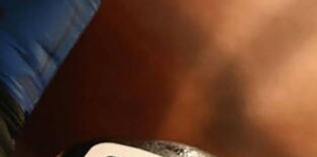 UFC 241: Cormier vs Miocic 2 (T2019): Daniel Cormier vs Stipe Miocic