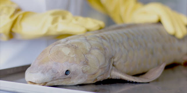 15:45: Natur macht Geschichte | ZDFinfo | 12/20 2025