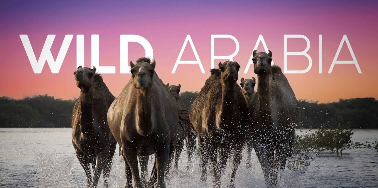 Wild Arabia Season 1