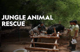 Jungle Animal Rescue Season 1: Homecoming