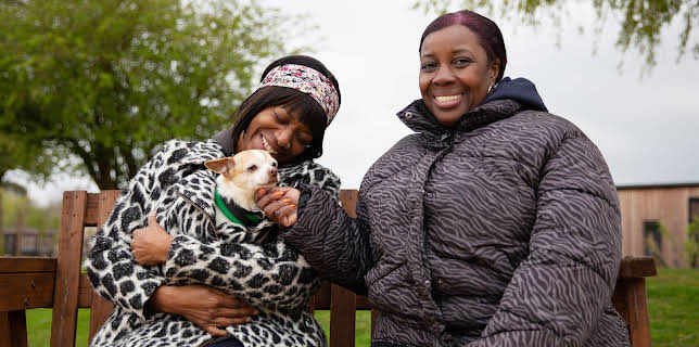 2:20 PM: The Dog House | Channel 4 | 1/25 2026