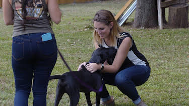 15:00: Pit Bulls & Parolees (S9 E23) (S9) | Animal Planet | 4/11 2026