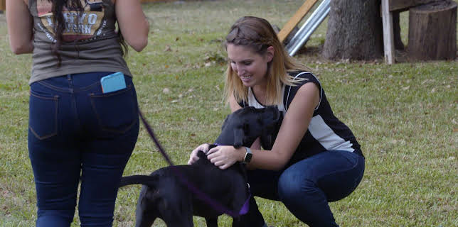 15:00: Pit Bulls & Parolees (S9 E23) (S9) | Animal Planet | 11/19 2025