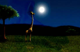 Djungelpuls: Episode 6