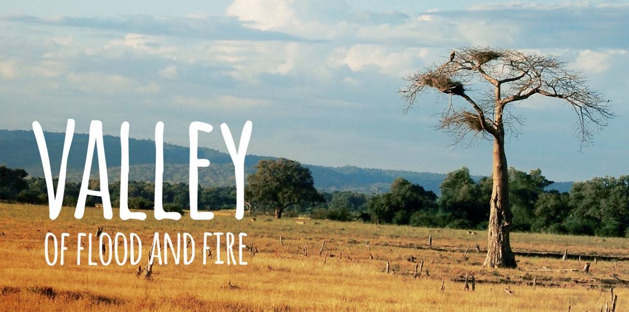 Valley Of Flood And Fire