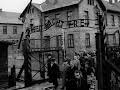Auschwitz: The Nazis and the Final Solution